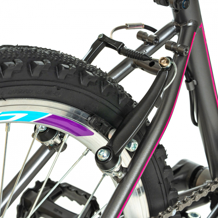 Bicicleta oras 24" DHS Modesty, cadru otel 12.5", manete revoshift,  frane V-Brake, 6 viteze [9]