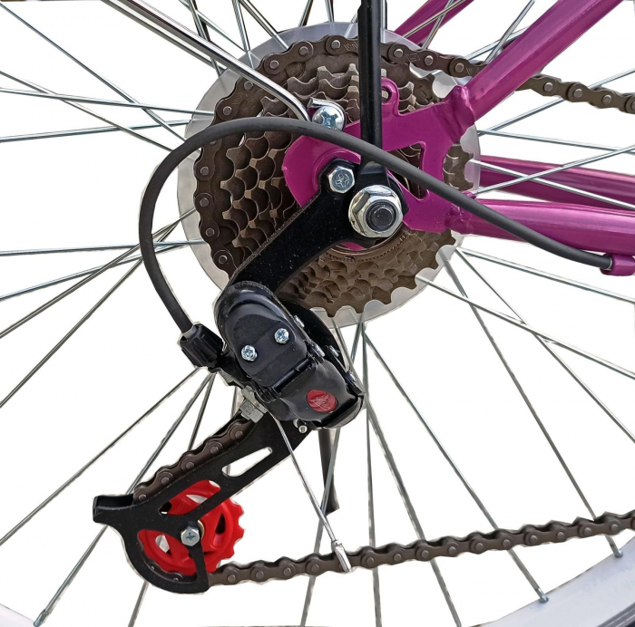 Bicicleta oras 26" RDB Matița, cadru otel 17", frane Disc/V-Brake, 21 viteze [7]