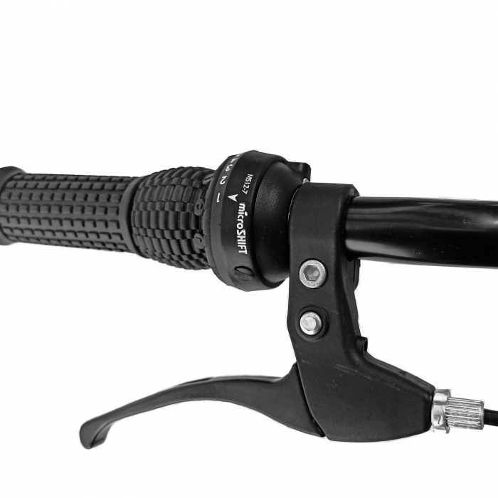 Bicicleta oras 26" RDB Matița, cadru otel 17", frane Disc/V-Brake, 21 viteze [4]