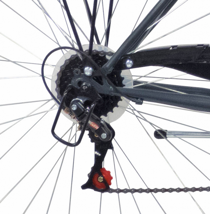 Bicicleta oras 28" BOTTARI Pisa, cadru otel 19", frane V-Brake, 6 viteze, gri [4]