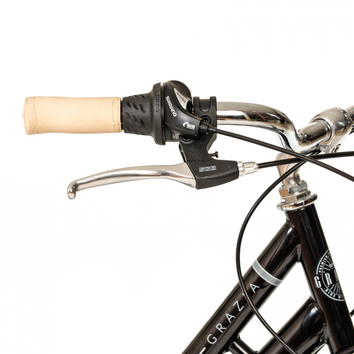 Bicicleta oras 28" DEVRON Grazia Retro 6S, cadru otel, manete revoshift, frane V-Brake, 6 viteze [5]