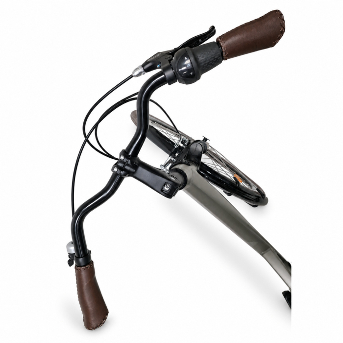 Bicicleta Oras Stella 28094 - 28 inch. XL. Gri deschis [5]