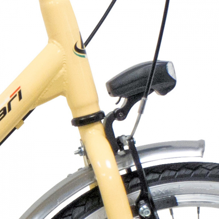 Bicicleta pliabila 20" BOTTARI Roma, cadru otel, frane V-Brake, single speed [5]