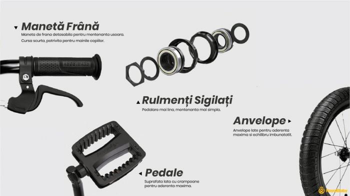 Bicicleta copii 14" ROYAL BABY Freestyle 7.0 NF, albastru, varsta 3-5 ani [5]