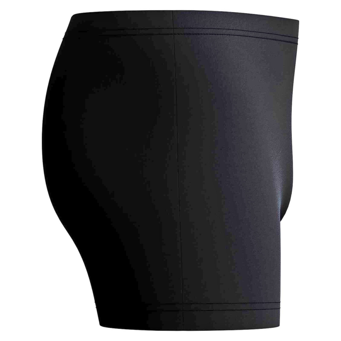 Boxeri inot barbati SPEEDO Medley EnduraFlex, Logo Aquashort, rezistenti la clor [3]