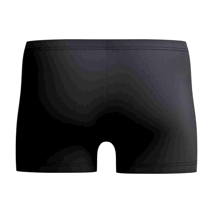 Boxeri inot barbati SPEEDO Medley EnduraFlex, Logo Aquashort, rezistenti la clor [4]