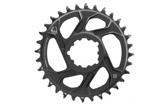 Foaie Angrenaj Sram X-SYNC 2 Direct Mount 6mm Offset Eagle - 30T, Gri [2]