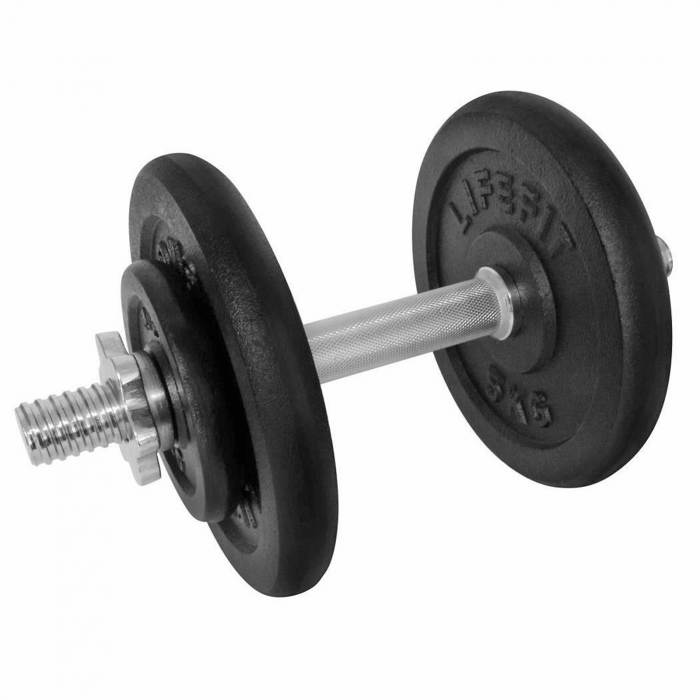 Gantera 14 kg LIFEFIT, set 4 discuri, negru/argintiu [2]