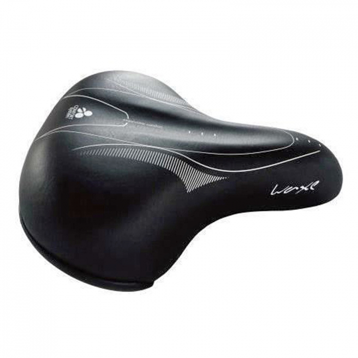 Sa bicicleta City DDK 2643, negru/gri [3]