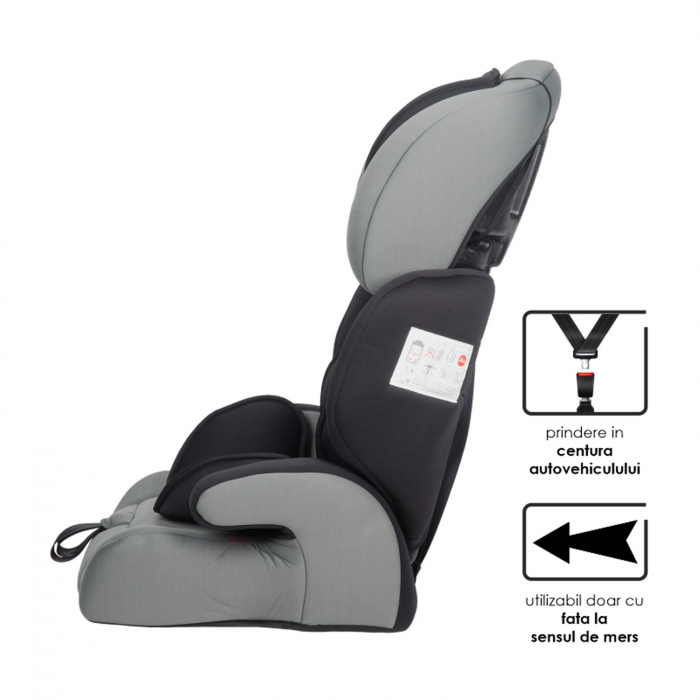 Scaun auto grupa 9-36 kg COCCOLLE Arra Lunar Rock [9]