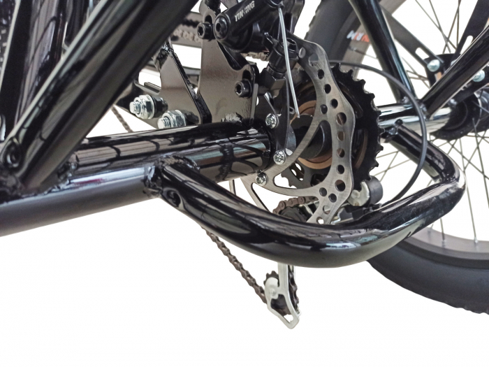 Tricicleta adulti 20" BR Cycles Pro2008-TR20, cadru otel 16", frane disc, 7 viteze [13]