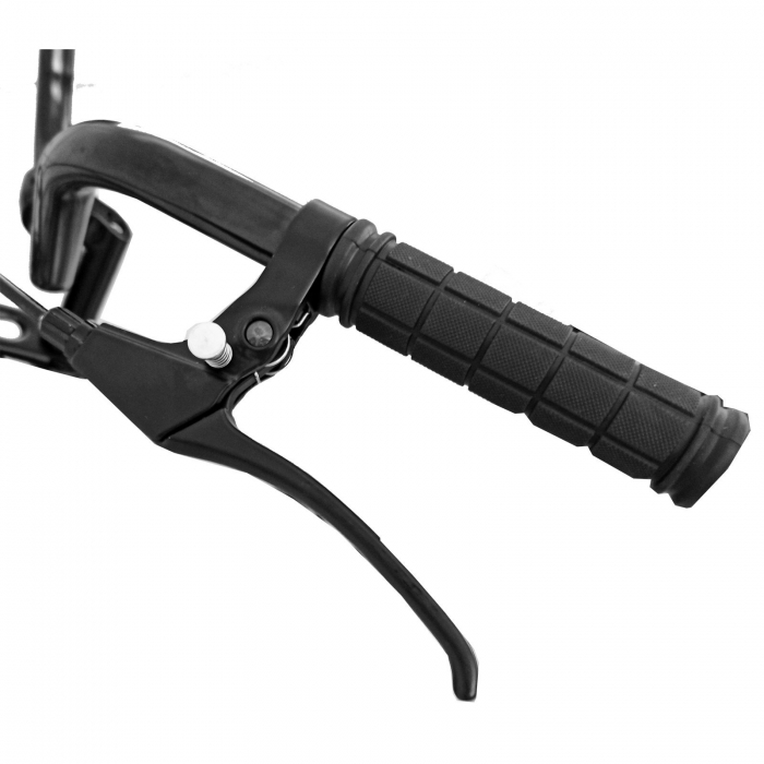 Tricicleta adulti 20" BR Cycles Pro2008-TR20, cadru otel 16", frane disc, 7 viteze [9]