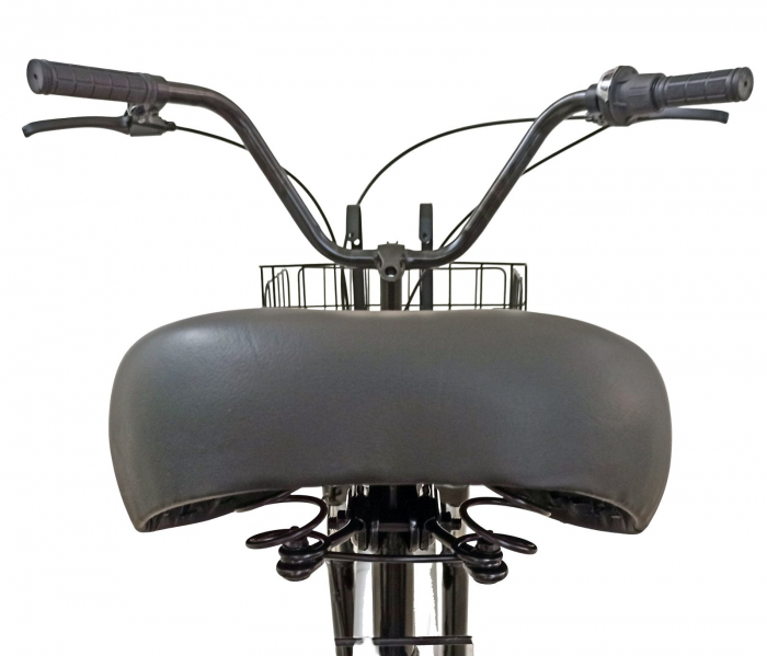 Tricicleta adulti 20" BR Cycles Pro2008-TR20, cadru otel 16", frane disc, 7 viteze [6]