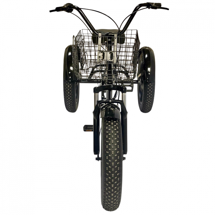 Tricicleta adulti 20" BR Cycles Pro2008-TR20, cadru otel 16", frane disc, 7 viteze [3]