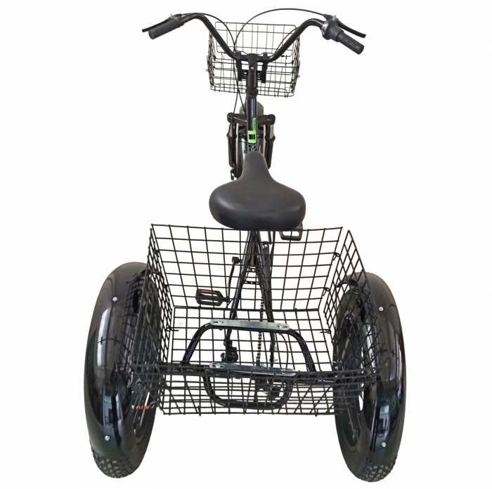 Tricicleta adulti 20" BR Cycles Pro2008-TR20, cadru otel 16", frane disc, 7 viteze [18]