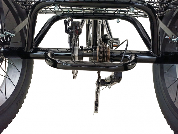 Tricicleta adulti 20" BR Cycles Pro2008-TR20, cadru otel 16", frane disc, 7 viteze [11]