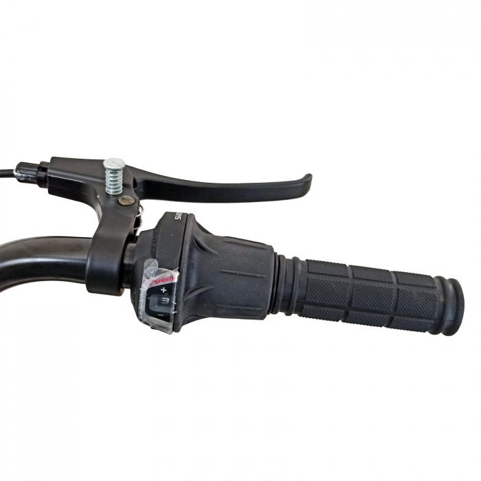 Tricicleta adulti 20" BR Cycles Pro2008-TR20, cadru otel 16", frane disc, 7 viteze [8]