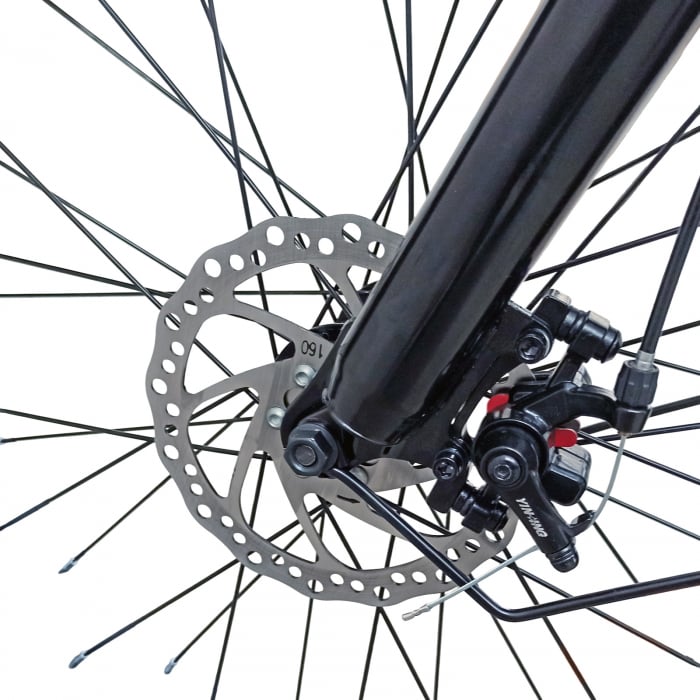 Tricicleta adulti 24" BR CYCLES Pro2008-FB, cadru otel 16", manete revoshift, frane disc, 7 viteze [7]