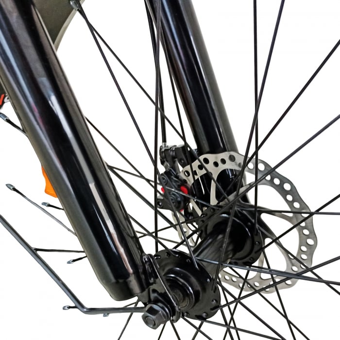 Tricicleta adulti 24" BR CYCLES Pro2008-FB, cadru otel 16", manete revoshift, frane disc, 7 viteze [6]