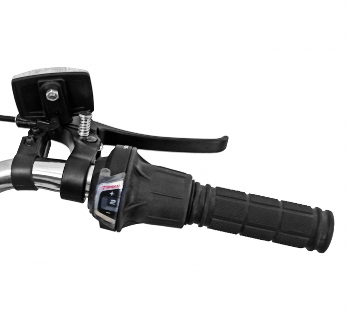 Tricicleta adulti 24" BR CYCLES Pro2008-VB, cadru otel 16", frane V-Brake/tambur, 7 viteze [10]