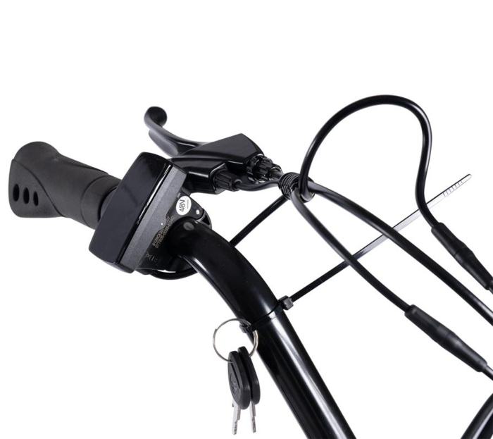 Tricicleta electrica 24" CARPAT E-Senior 24560E, cadru otel 16", frane disc/tambur, autonomie 40-60 km [7]