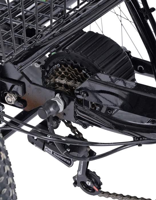 Tricicleta electrica 24" CARPAT E-Senior 24560E, cadru otel 16", frane disc/tambur, autonomie 40-60 km [8]