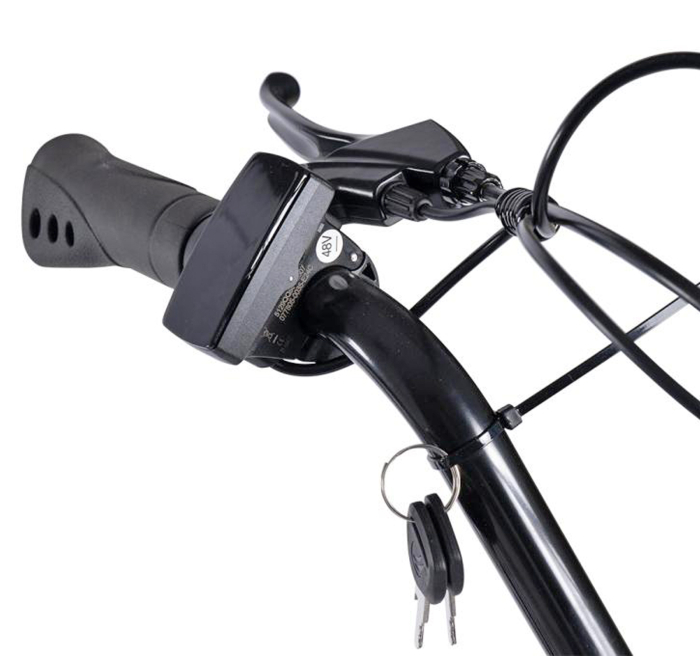 Tricicleta electrica 24" CARPAT E-Senior 24560E, cadru otel 16", frane disc/tambur, autonomie 40-60 km [7]