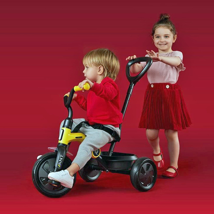 Tricicleta QPLAY Ant Plus [4]