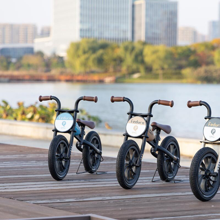 Balance bike 12" QPLAY Feduro, varsta 3-6 ani [7]