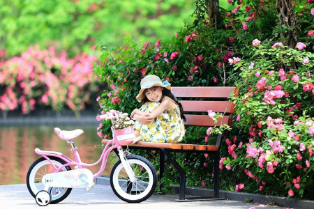 Bicicleta copii 12" ROYAL BABY Little Swan, roz, varsta 2-4 ani [10]