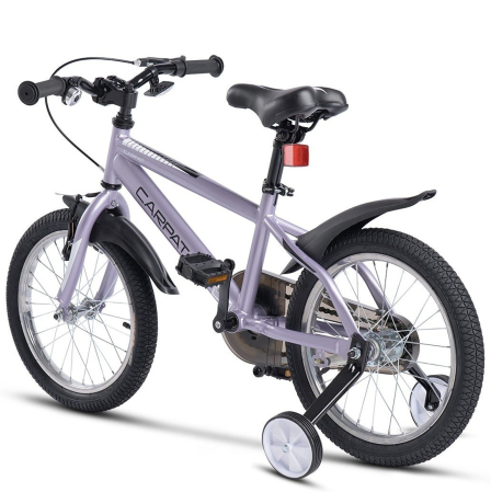Bicicleta copii 16" CARPAT New Generation, cadru otel, frane V-Brake/torpedo, varsta 4-6 ani  [2]