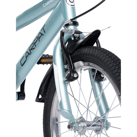 Bicicleta copii 16" CARPAT New Generation, cadru otel, frane V-Brake/torpedo, varsta 4-6 ani  [4]