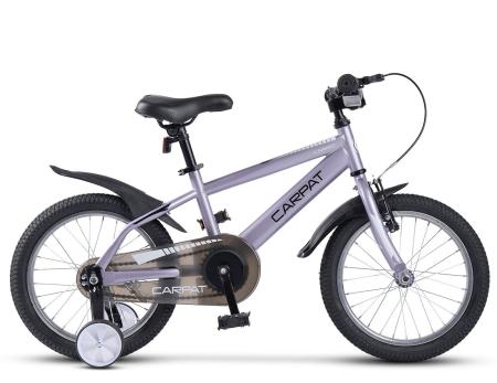 Bicicleta copii 16" CARPAT New Generation, cadru otel, frane V-Brake/torpedo, varsta 4-6 ani  [1]