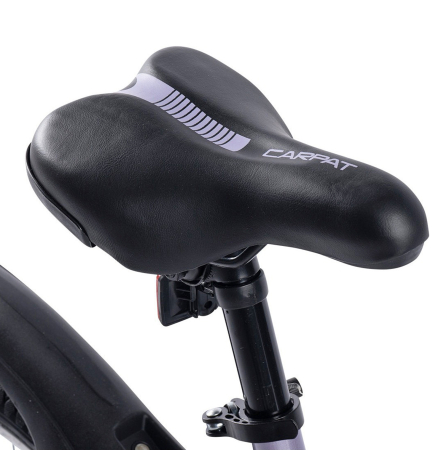 Bicicleta copii 16" CARPAT New Generation, cadru otel, frane V-Brake/torpedo, varsta 4-6 ani  [9]