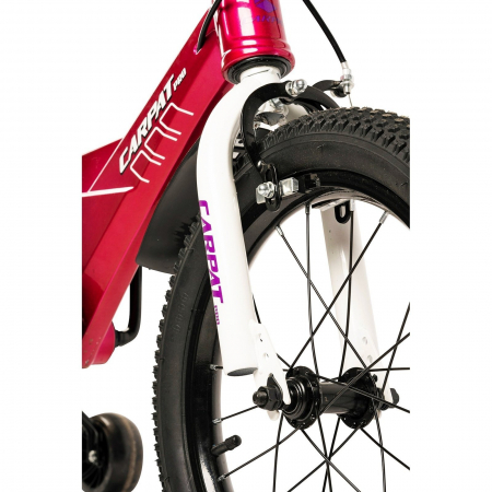 Bicicleta copii 16" CARPAT Pro 16119, cadru aluminiu, frane V-Brake/tambur, varsta 4-6 ani [3]