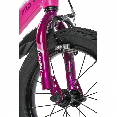 Bicicleta copii 16" CARPAT Pro 16122, cadru aluminiu, frane V-Brake/tambur, varsta 4-6 ani [3]