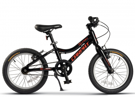﻿Bicicleta copii 16" CARPAT Pro 16208C, cadru aluminiu, varsta 4-6 ani [1]