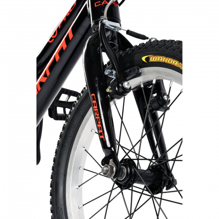 ﻿Bicicleta copii 16" CARPAT Pro 16208C, cadru aluminiu, varsta 4-6 ani [3]