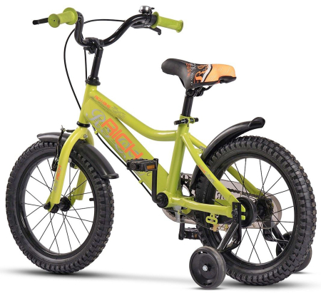 Bicicleta copii 16" RICH Cosmos R1605, varsta 4-6 ani [2]