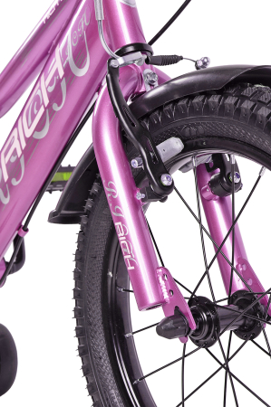 Bicicleta copii 16" RICH Cosmos R1605, varsta 4-6 ani [3]