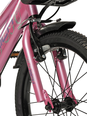 Bicicleta copii 18" RICH R1805, varsta 5-7 ani [3]