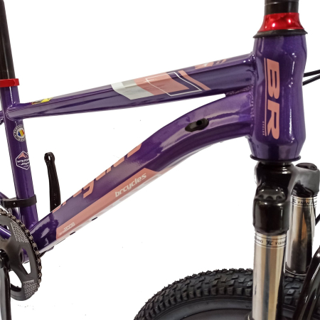 Bicicleta copii 20" BR Inspire, cadru otel 12", manete revoshift, frane disc, 7 viteze, varsta 7-10 ani [13]