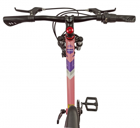 Bicicleta copii 20" BR Inspire, cadru otel 12", manete revoshift, frane disc, 7 viteze, violet/roz, varsta 7-10 ani [5]