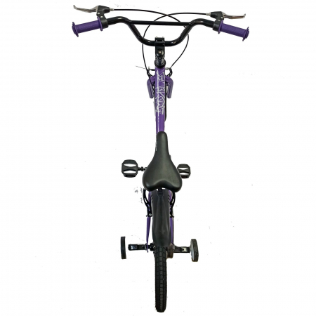 Bicicleta copii 20" BR Sprint, albastru, varsta 7-10 ani [9]