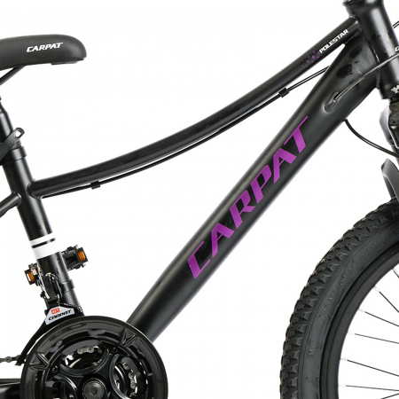 Bicicleta copii 20" CARPAT Polestar, cadru otel, manete secventiale, frane disc, 21 viteze [8]