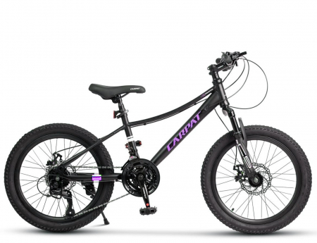 Bicicleta copii 20" CARPAT Polestar, cadru otel, manete secventiale, frane disc, 21 viteze [1]