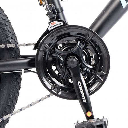 Bicicleta copii 20" CARPAT Polestar, cadru otel, manete secventiale, frane disc, 21 viteze [9]