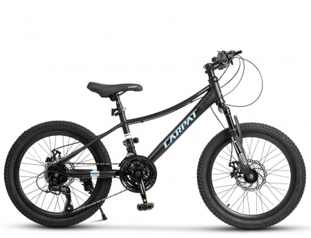 Bicicleta copii 20" CARPAT Polestar, cadru otel, manete secventiale, frane disc, 21 viteze [1]