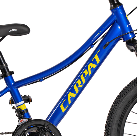 Bicicleta copii 20" CARPAT Polestar, cadru otel, manete secventiale, frane disc, 21 viteze, varsta 7-10 ani [10]