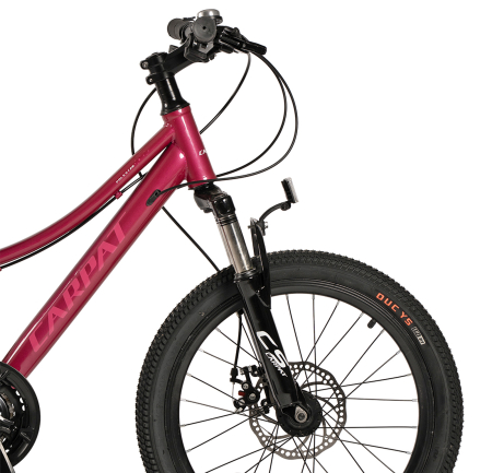 Bicicleta copii 20" CARPAT Polestar, cadru otel, manete secventiale, frane disc, 21 viteze, varsta 7-10 ani [4]